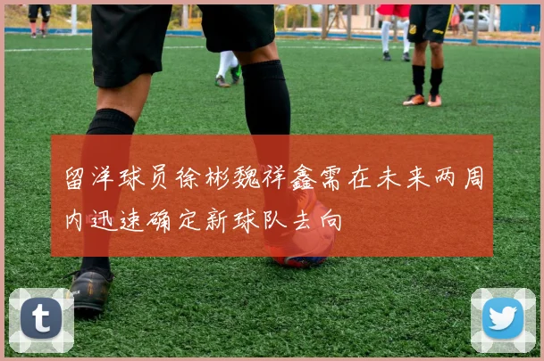 留洋球员徐彬魏祥鑫需在未来两周内迅速确定新球队去向